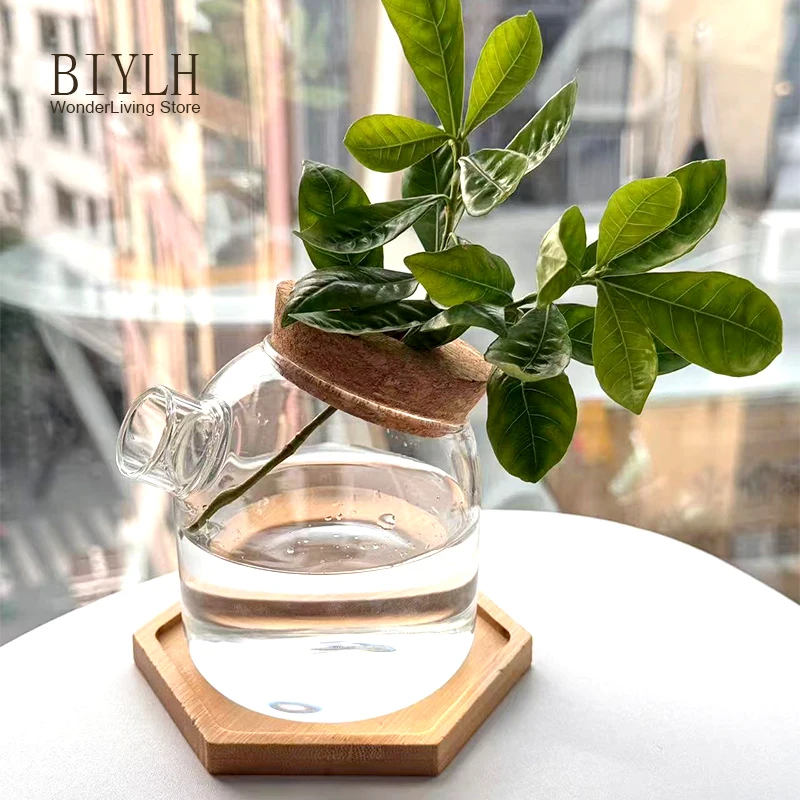 New Small Vase Transparent Glass Flower and Green Plants Cultivation Small Bottle Home Living Room Garden Decoration Small Vase 5