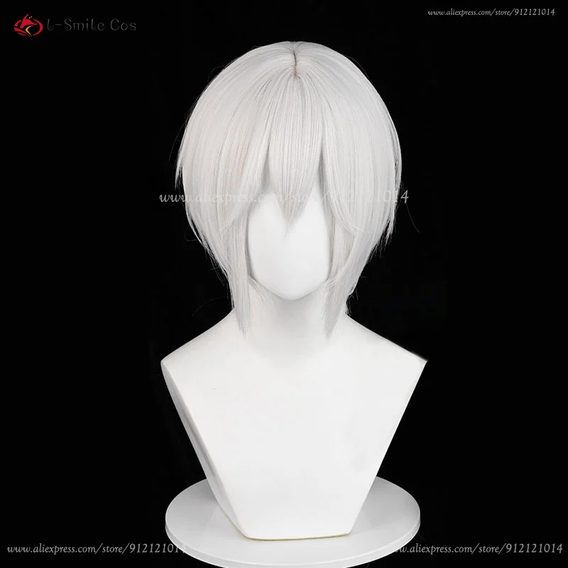 Tomoe Cosplay Perücke Silberweiß Unisex Anime Wig Hitzebeständig mit Ohren 21