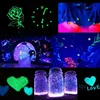 12 Colors Glow in The Dark Powder Skin Safe Epoxy Resin Luminous Pigment Polish Acrylic Paint Jewelry Making 2