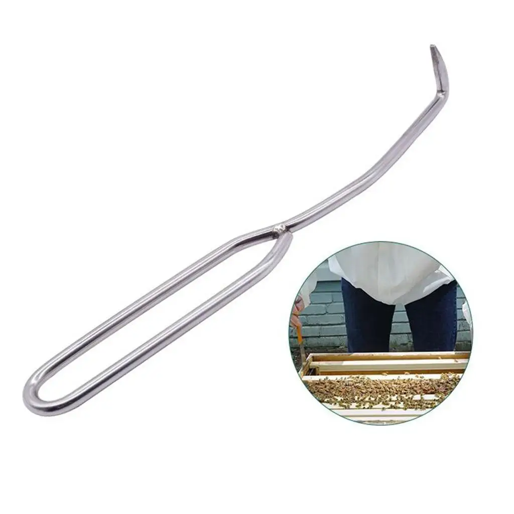 Durable Beekeeping Needle Queen Rearing Grafting Tool Stainless Steel Double Head Grafting Tool Bee Hive Scraper Beekeeper