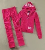 Y2K Women's Pink Velvet Tracksuit 2025 Spring/Autumn Women's Sweatshirt and Pants Sets Velvet Tracksuit Two Piece Sets 4