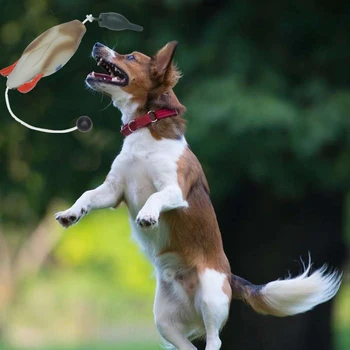 Pet Dog Training Fake Duck The Bird Dummy Teaches Mallard Waterfowl Game Retrieval Duck Bite Chewing Toys Perfect Size For All 4