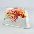 Fish brown