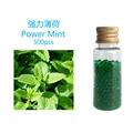 500pcs power mint