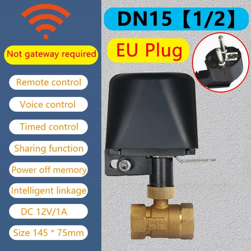 WiFi DN15 EU Plug