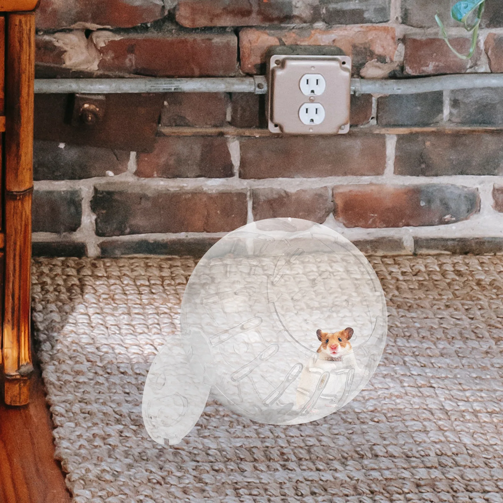 Pet Exercise Balls Hamster Running Ball Supplies Small Pet Exercise Balls Chinchilla Toys Roll The Plastic Stuff