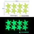5CM 8 stars