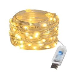 USB - Powered LED Fairy Lights - 20M (Warm White)