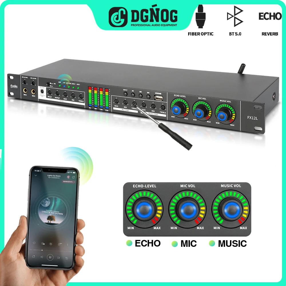 KaraokeDigitalAudioEffectProcessorBluetoothProfessional