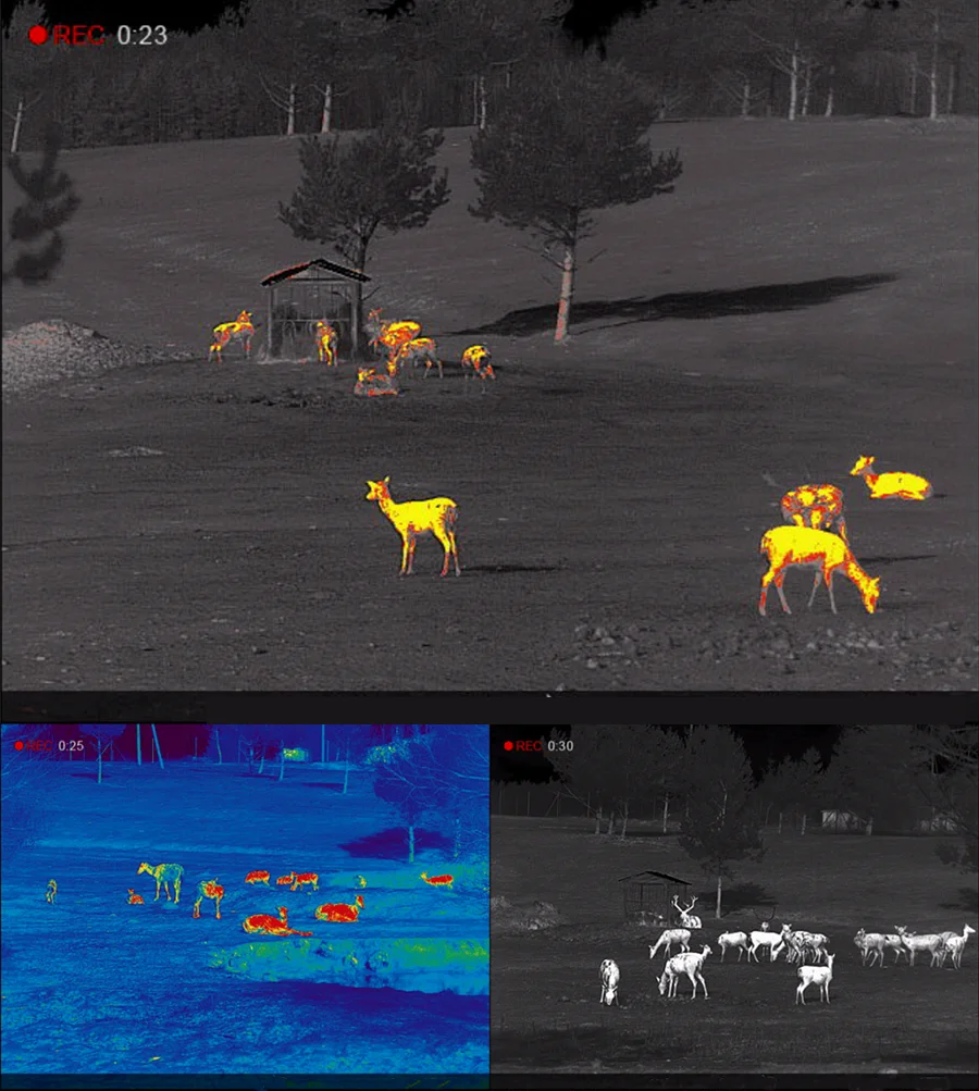 Thermal Imaging Rifle Scope for Hunting, 640x512 High Resolution, PIP LRF Therma