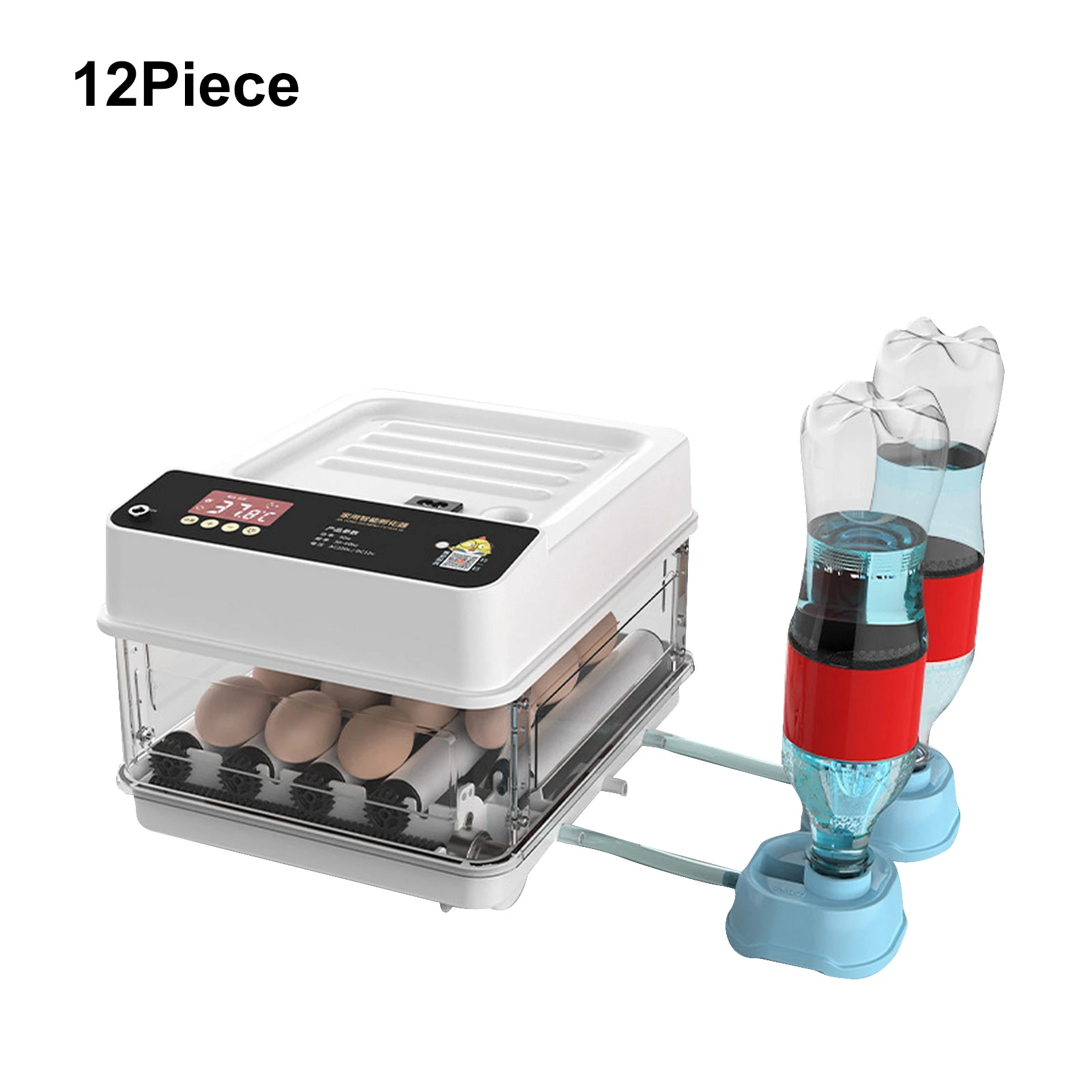 12 eggs