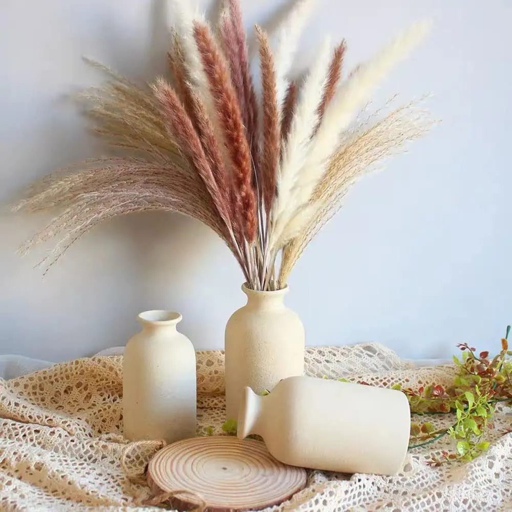 100 Pcs Natural Dried Pampas Grass Boho Home Decor Bouquet,Pampas Reed  Grass Bunny Tails Dried Wheat for Arrangements Home Decor - AliExpress