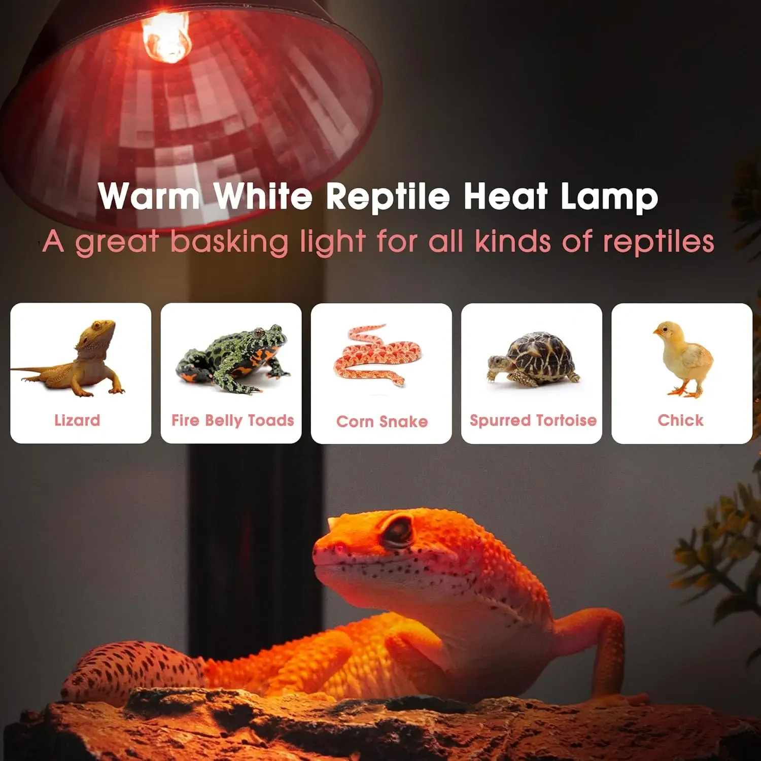 UVA+UVB Full Spectrum Heating Lamp Reptiles Box Turtle Sunbathing Lamps Amphibian Breeding Box Accessories Reptile Heating Lamp