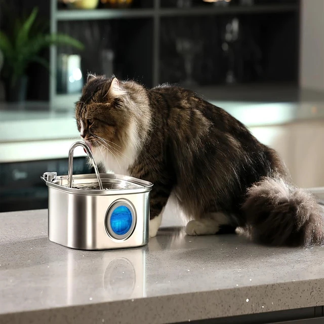 3.2L Stainless Steel Pet Water Feeder Auto Cat Fountain Smart Dog Water Dispenser Visual Window Drinking Bowl Pet Accessories 3