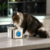 3.2L Stainless Steel Pet Water Feeder Auto Cat Fountain Smart Dog Water Dispenser Visual Window Drinking Bowl Pet Accessories 3
