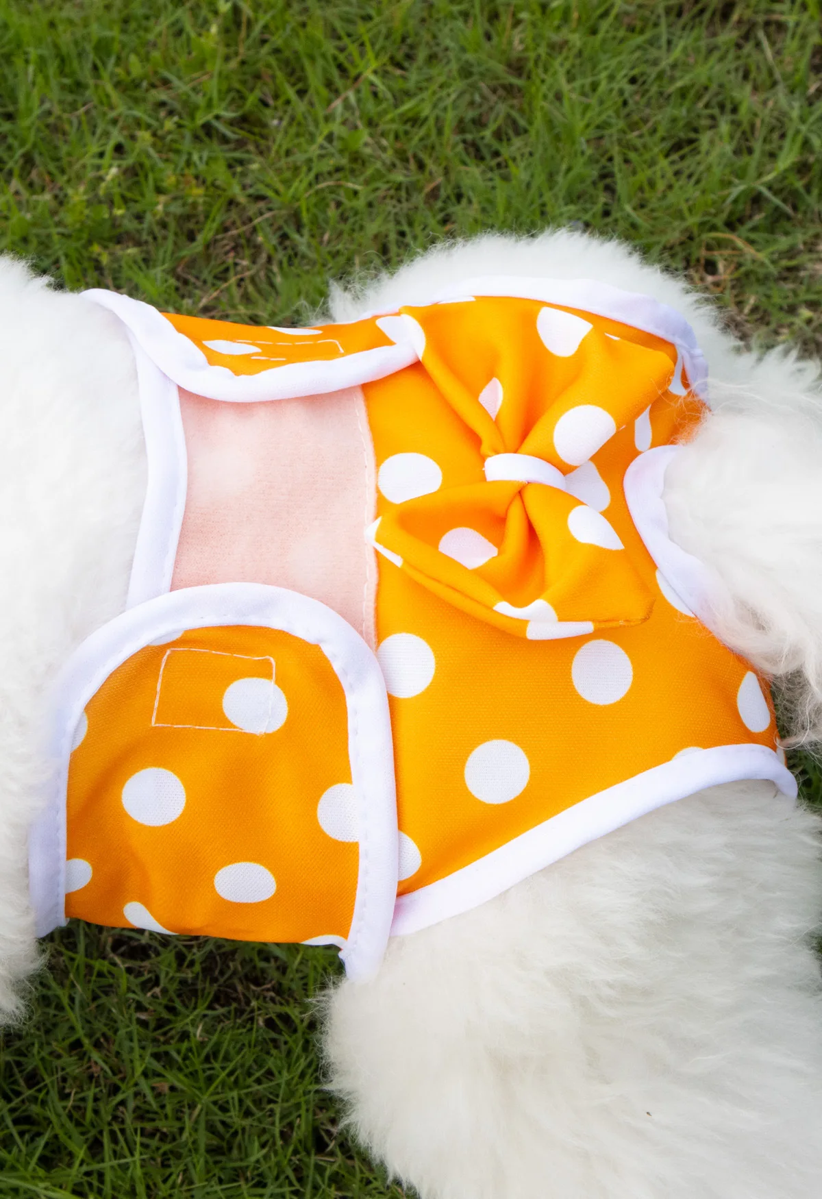 Dog Diapers Pet Diapers Dog Nappies Reusable Female Dogs Diaper Pants Sanitary Female Dog Pants Diapers For Dogs Menstruation Pet Cat Physiological Shorts Girl