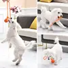 Dog Ball with Rope Exercise and Training Toy for Small Medium Dogs Interactive Pull Throw Toy for Indoor Outdoor 2