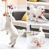 Dog Ball with Rope Exercise and Training Toy for Small Medium Dogs Interactive Pull Throw Toy for Indoor Outdoor 2