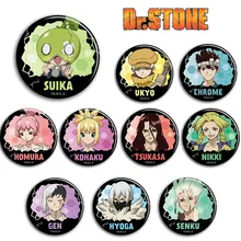 

10pcs/1lot Anime Dr.STONE Nikki Ykyo Homura Suika Figure 919 Metal Badges Round Brooch Pin Badge Bedge Kids Toy