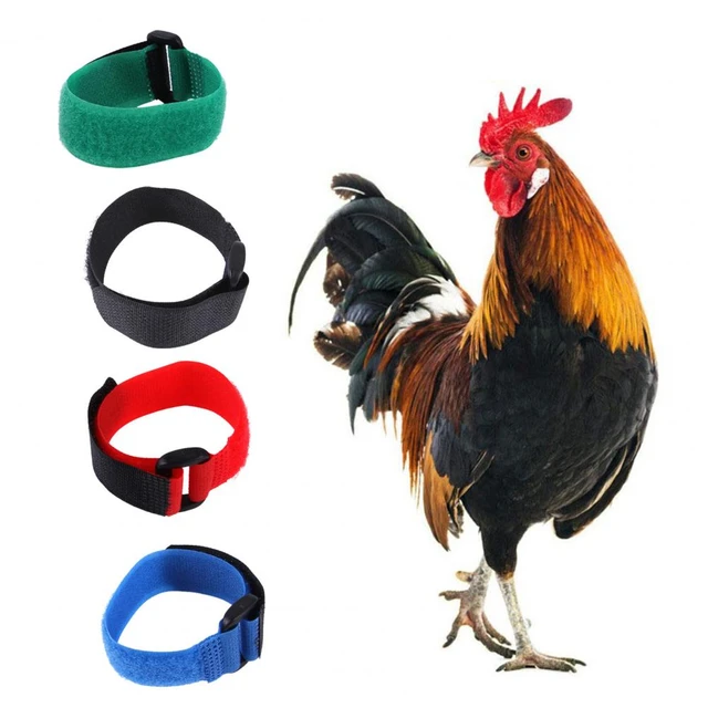 Unisex SKI STRAP ROOSTER