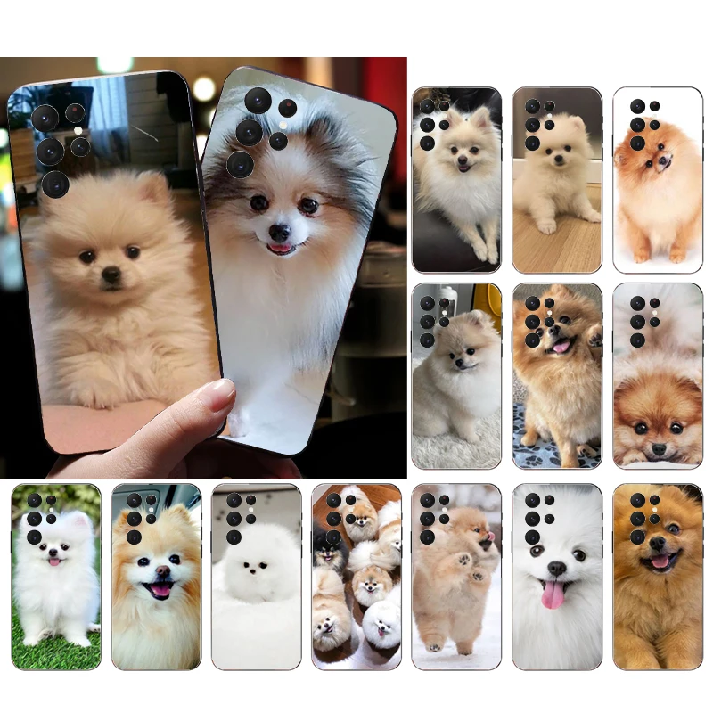 

Pomeranian Dog Phone Case For Samsung S24 S23 S22 S21 S20 Ultra S20 S22 S21 S10E S20 FE S24 Plus Shell