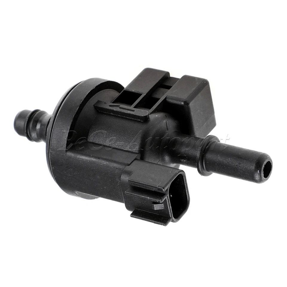 S34538cbc441e41128715f3fa37381