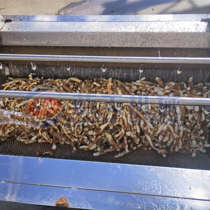Potato Hair Roller Peeling Washing Machine Fruit and Vegetable Brush Cleaning Equipment Potato Cleaning and Peeling Machine 4