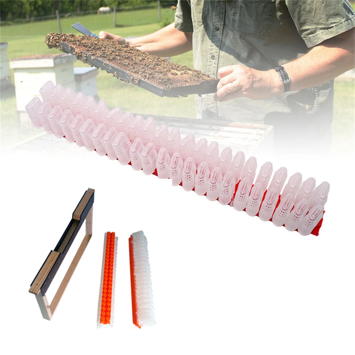 1 Set Queen Cell Cage with Transport Box Kit Beekeeping Supplies