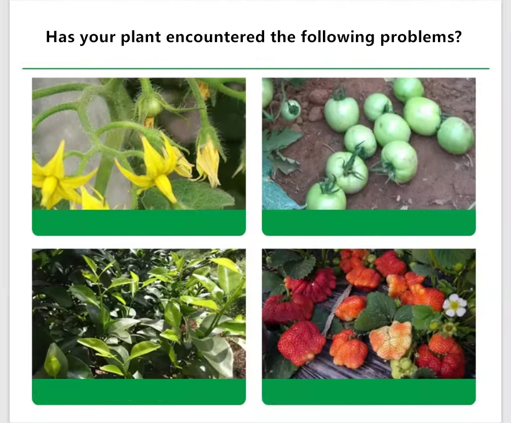 Description Picture 3 of item50g (MKP) Quick-Dissolve Foliar Fertilizer Universal Phosphorus-Potassium Supplement for Gardening & Flowers Fast-Acting Formula