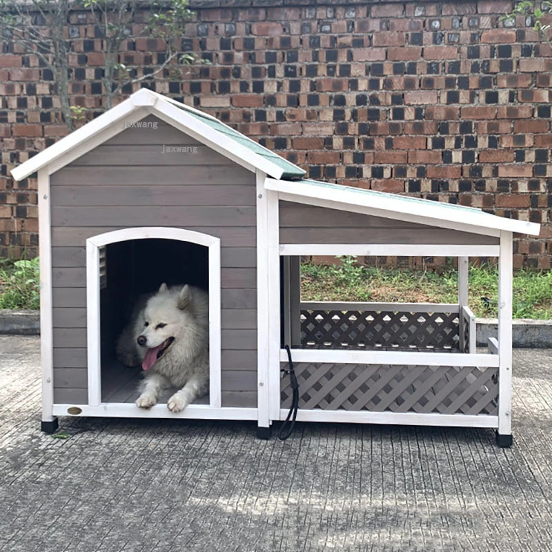Can You Keep A Dog On A Balcony