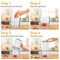 Mini Food Processor with 2.5 Cup Glass Bowl Small Electric Food Chopper for Vegetable Meat Fruit Puree,2 Speed With Sharp Blades 2