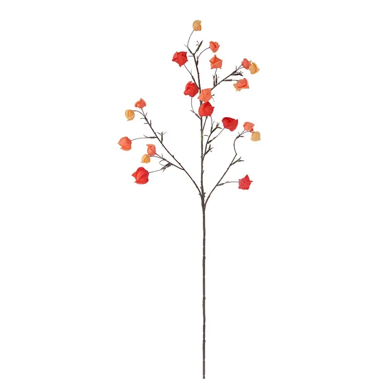 Slide image ccb09d7e6b46493a92c9586c45a5fd3e