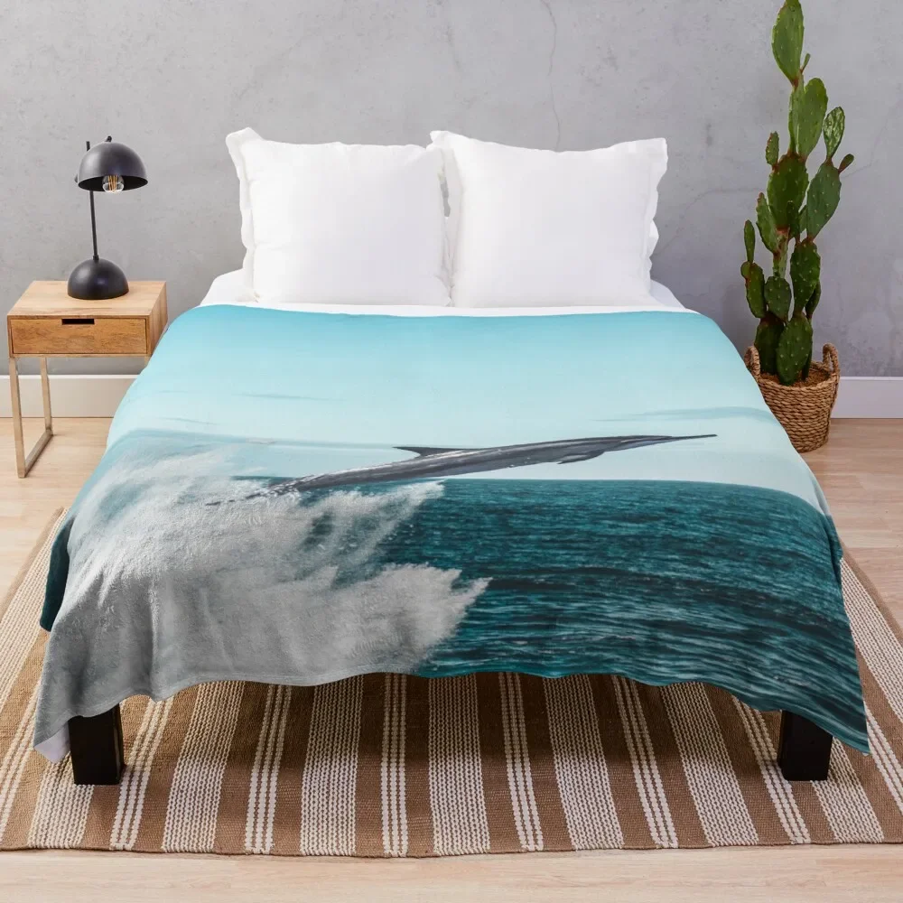 ������ ���� ���� ����Ʈ ������ ���, ħ�� ���� ����, �淮 ���� ķ�� ������ ũ��, ��� ���ο�, �����