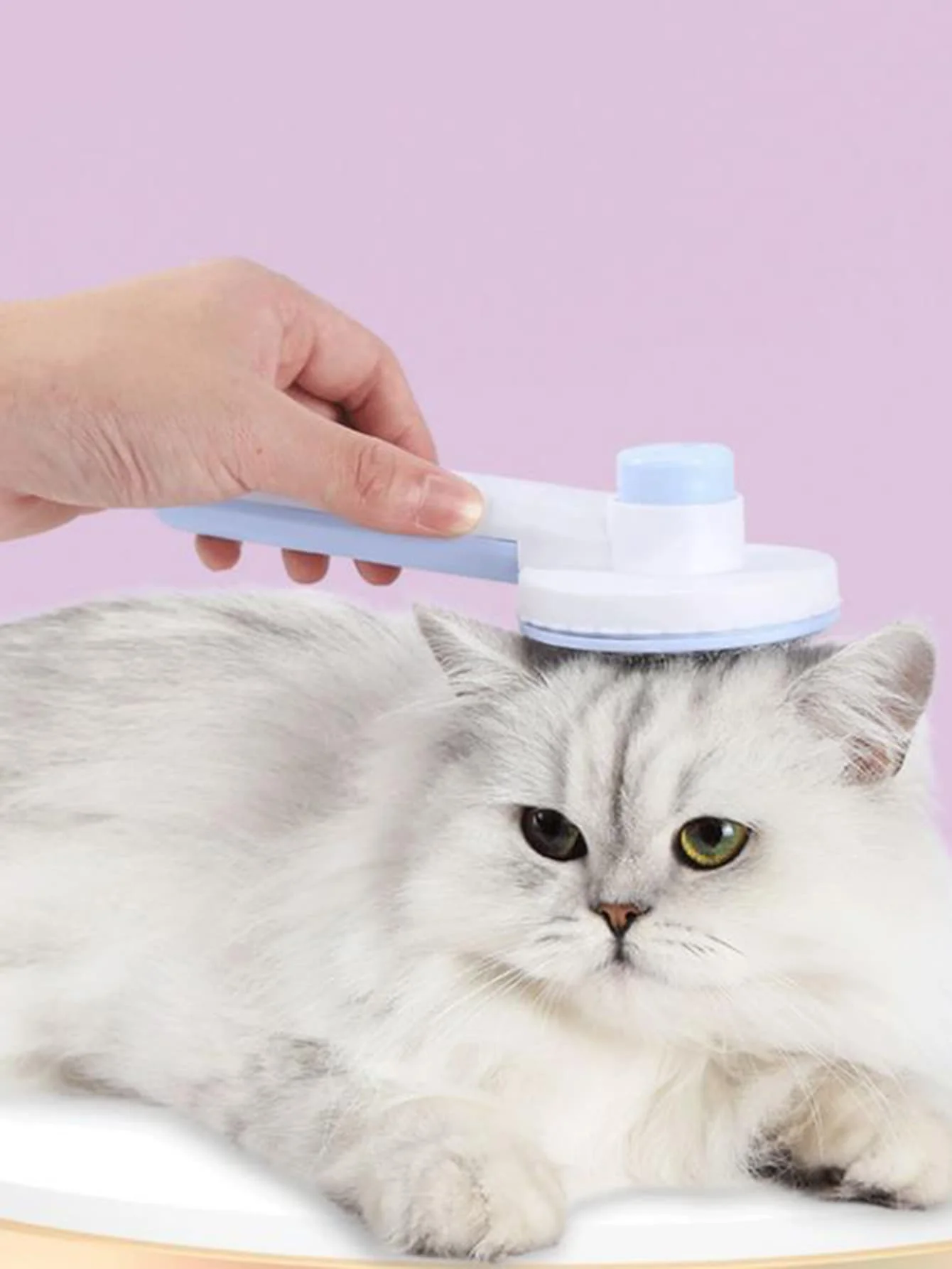 Pet Massage Brush