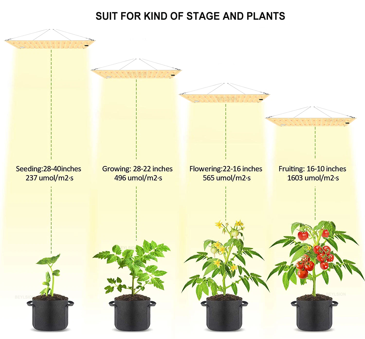 BEYLSION Grow Tent Full Kits 850WSCP Quantum Board Lights Complete Kit Carbon Filter Hydroponic Growing System For Indoor Plant