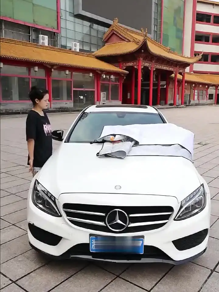 Parasole Auto Parabrezza Esterno Magnetico - Anti UV, 5 Magneti, 199x127 Cm, Per Tutte Stagioni - Foto 8