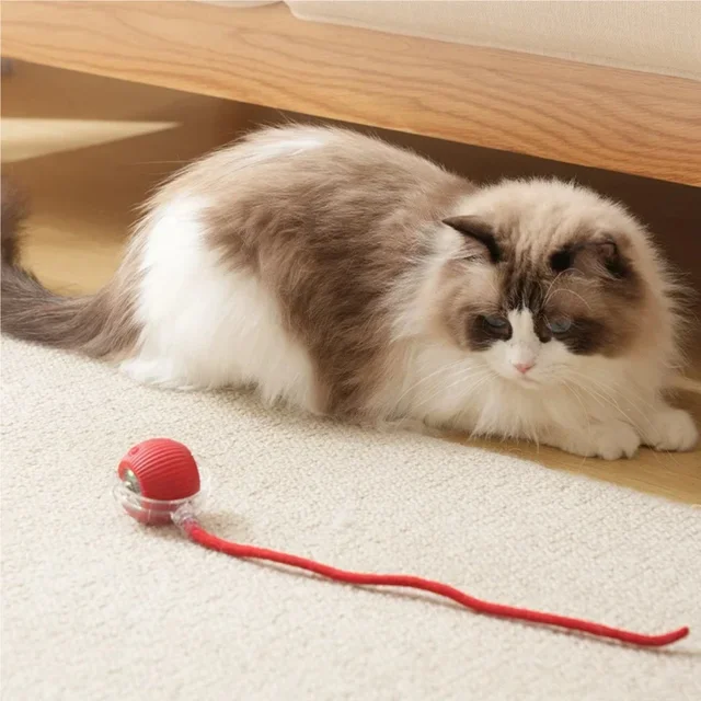 1pcs Cat Interactive Ball Toy Automatic Rolling Ball Tail Rechargeable Smart Pet Electric Toy Dog Cat Training Imitate Mouse