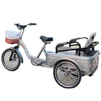 Tricycle Électrique avec Siège Passager pour Adulte, Vélo de Ville Familial avec mir, Batterie Parfaite, 48V 1