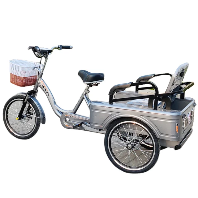 Tricycle Électrique avec Siège Passager pour Adulte, Vélo de Ville Familial avec mir, Batterie Parfaite, 48V 1