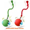 Red Green Tail Ball