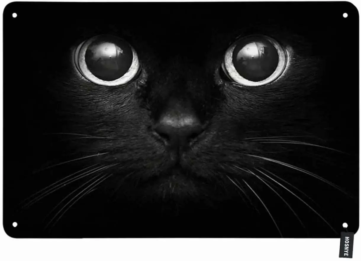 

HOSNYE Black Cat Tin Sign Cool Cat Head on Black Background Vintage Metal Tin Signs for Men Women Wall Art Decor for Home Bars
