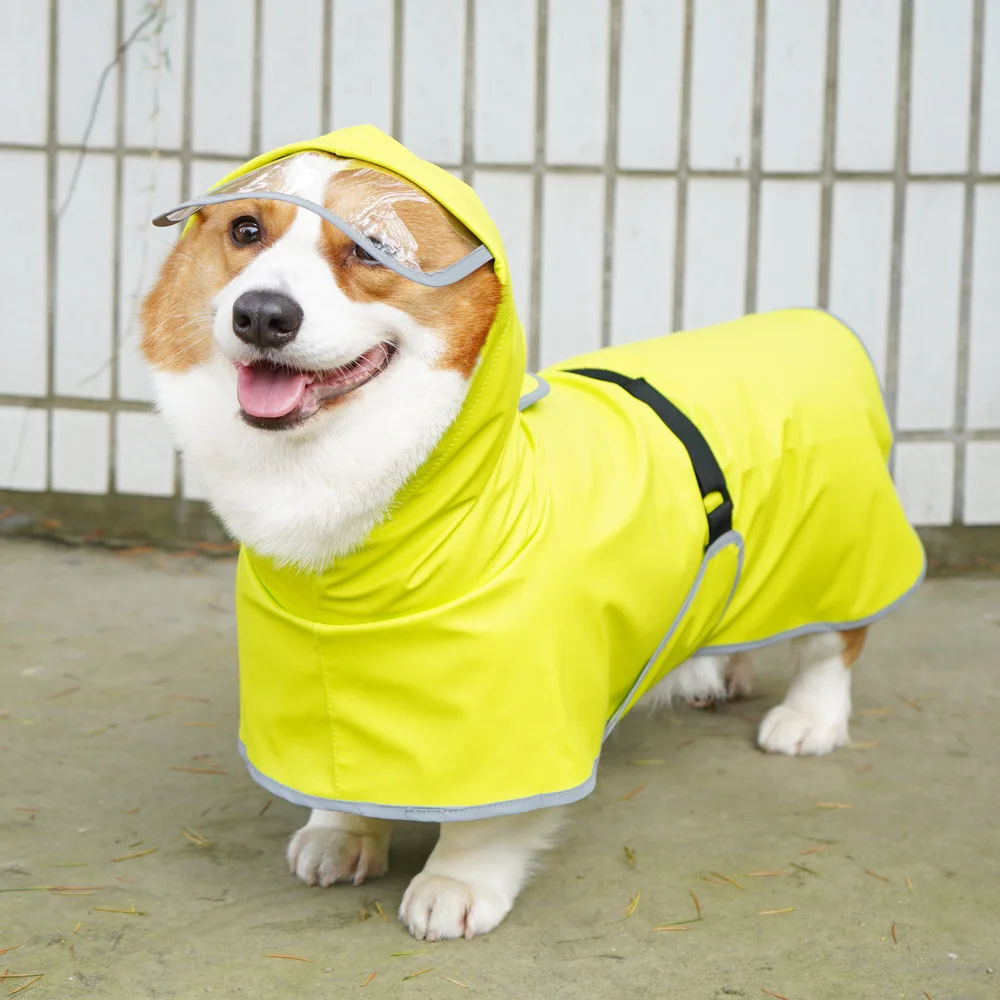 Imperméable pour petit, moyen et grand chien, vêtements pour animaux de compagnie, protège le ventre, All Ssive Corgi, Teddy Law, Everak Rain