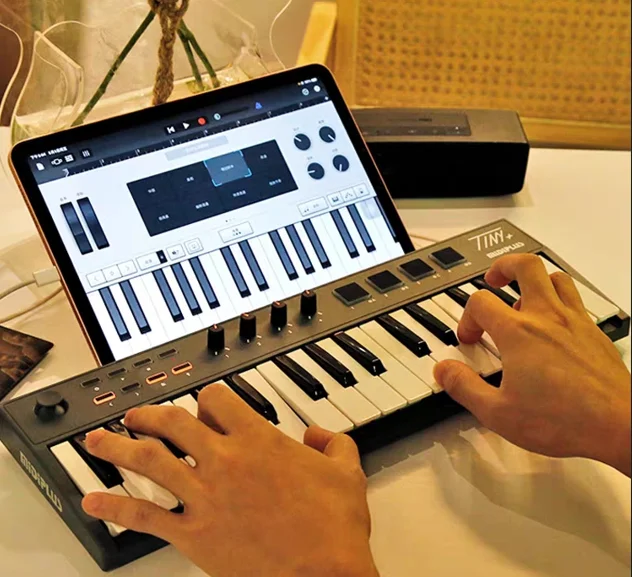 Folding MIDI Keyboard Controller Musical Instrument for Kids and Adults Tiny 32+