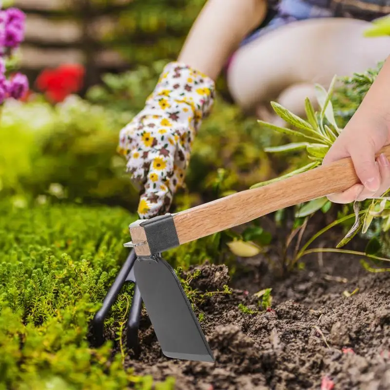 Description Picture 5 of itemIron Gardening Cultivator Manual Wooden Handle Agriculture Hoe Vegetable Farming Tool Weeding Hoe