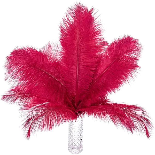 14-16 Ostrich Feathers: Red (6) [] 