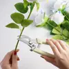 Pruner Garden Scissors Professional Sharp Bypass Pruning Shears Tree Trimmers Secateurs Hand Clippers For Garden Beak Scissors 4