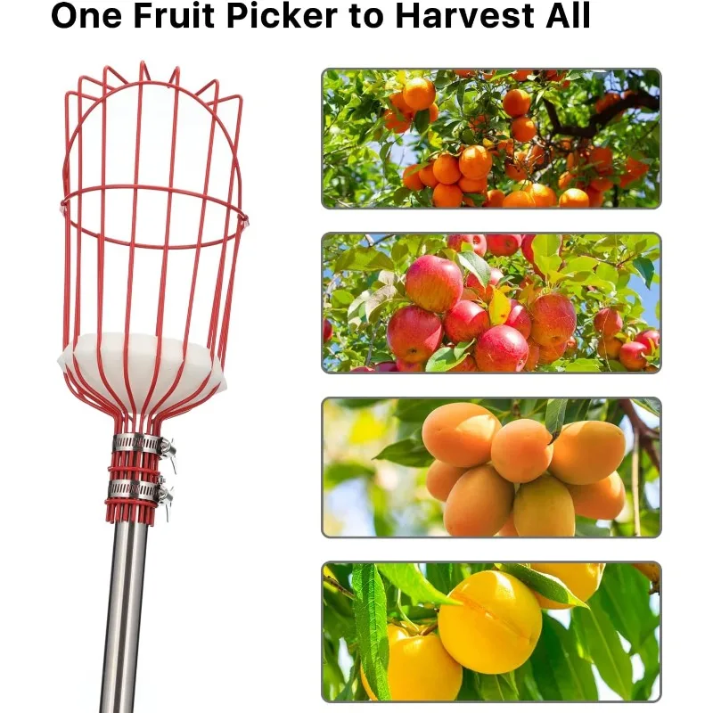 13FT Fruit Picker Pole with Basket 6