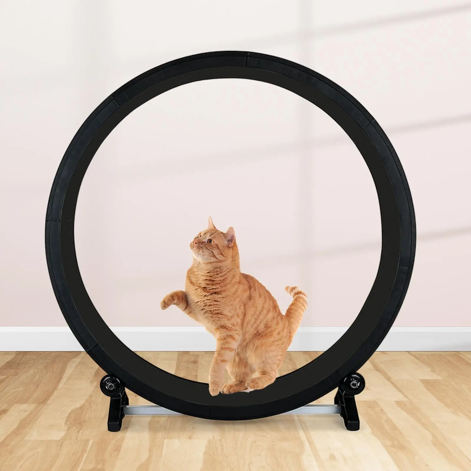 

Cat Running Wheel Exerciser Exercise Wheel Exercise Treadmill for Fitness