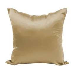 Luxurious Satin Silk Pillowcase - Soft, Smooth Cushion Cover - 30X50CM (Champagne)