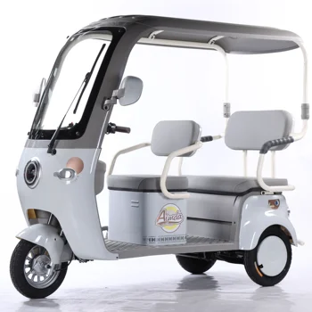 High-Quality Adult Electric Tricycle Bike 1